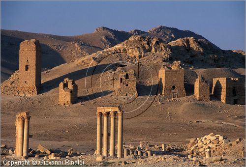 SIRIA - PALMIRA
antica città romana nel deserto
veduta delle rovine, in fondo la collina Umm al-Qais con le torri funerarie di Yemliko