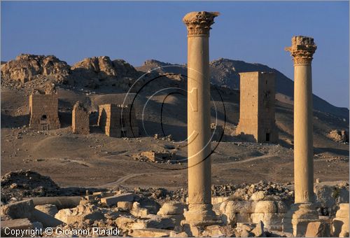 SIRIA - PALMIRA
antica citt romana nel deserto
veduta delle rovine, in fondo la collina Umm al-Qais con le torri funerarie di Yemliko
