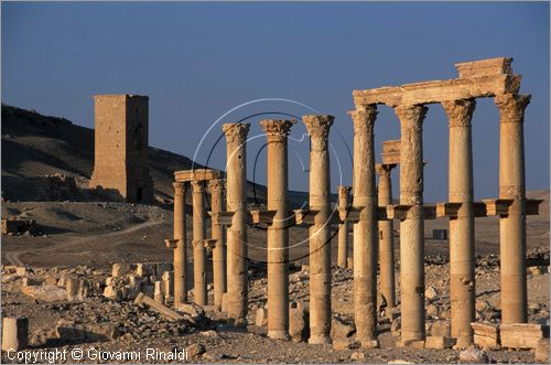 SIRIA - PALMIRA
antica città romana nel deserto
veduta delle rovine, in fondo la collina Umm al-Qais con le torri funerarie di Yemliko