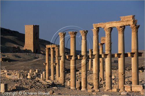 SIRIA - PALMIRA
antica citt romana nel deserto
veduta delle rovine, in fondo la collina Umm al-Qais con le torri funerarie di Yemliko