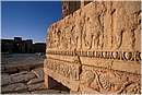 palmira0033.jpg