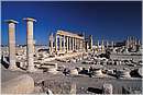 palmira0039.jpg