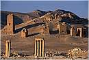 palmira0046.jpg