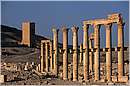 palmira0049.jpg