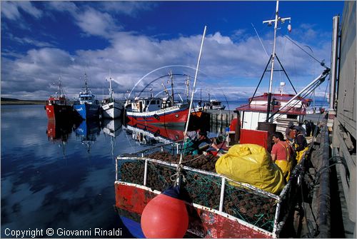 CILE - CHILE - Patagonia - Puerto Natales - Porto peschereccio