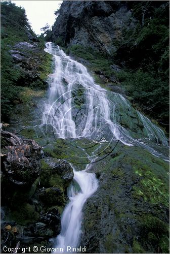 CILE - CHILE - Patagonia - una cascata nell'insenatura Garibaldi