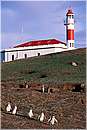 cile_isolamagdalena0001.jpg