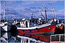cile_puertonatales0004.jpg