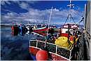 cile_puertonatales0006.jpg