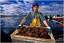 cile_puertonatales0008.jpg