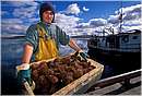 cile_puertonatales0009.jpg