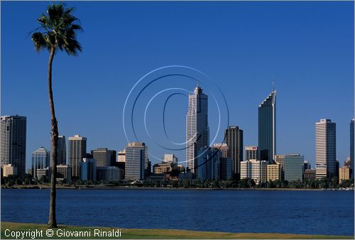 AUSTRALIA OCCIDENTALE - Perth - veduta della citt dal Sir James Mitchell Park sulla sponda opposta del fiume Swan