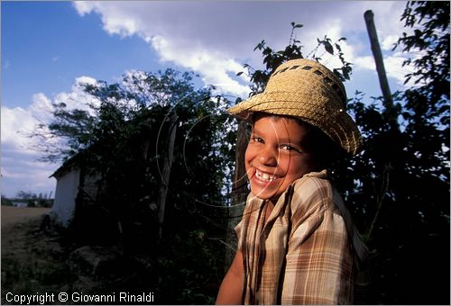 CUBA - Pinar del Rio - tra le piantagioni di tabacco