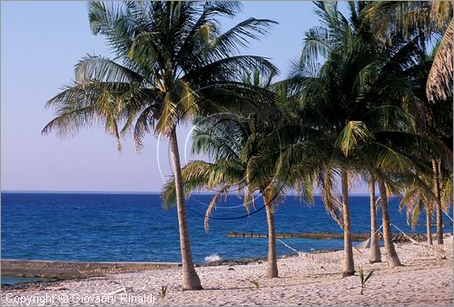 CUBA - Maria La Gorda - l'estremit sud ovest dell'isola presso Cabo Corrientes, ha una bella spiaggia con albergo formato da piccole case vicino al mare e un buon spot per le immersioni