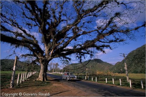 CUBA - (Vinales) - paesaggio