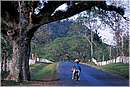 cuba_vinales0009.jpg