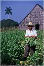 cuba_vinales0012.jpg