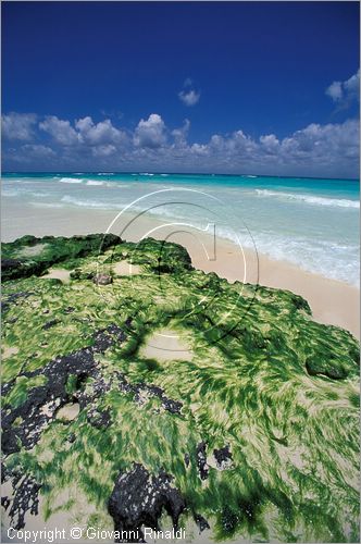 MEXICO - YUCATAN - Playa del Carmen - veduta della spiaggia