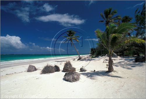 MEXICO - YUCATAN - (Playa del Carmen) - la spiaggia dell'Hotel Boca Paila sulla strada tra Tulum e Punta Allen - guesthouse per sub e pescatori