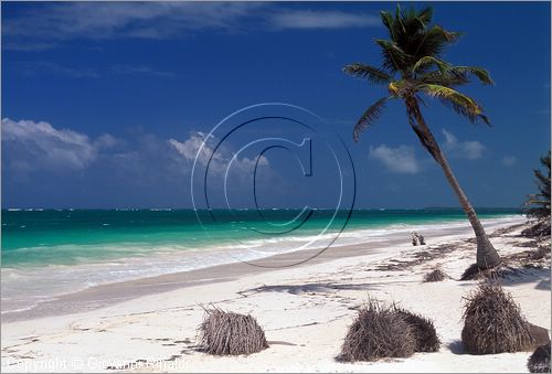 MEXICO - YUCATAN - (Playa del Carmen) - la spiaggia dell'Hotel Boca Paila sulla strada tra Tulum e Punta Allen - guesthouse per sub e pescatori