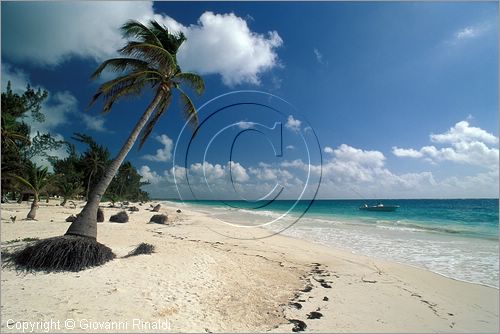 MEXICO - YUCATAN - (Playa del Carmen) - la spiaggia dell'Hotel Boca Paila sulla strada tra Tulum e Punta Allen - guesthouse per sub e pescatori