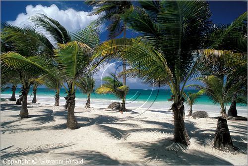 MEXICO - YUCATAN - (Playa del Carmen) - la spiaggia dell'Hotel Boca Paila sulla strada tra Tulum e Punta Allen - guesthouse per sub e pescatori