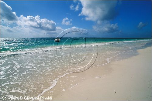 MEXICO - YUCATAN - (Playa del Carmen) - la spiaggia dell'Hotel Boca Paila sulla strada tra Tulum e Punta Allen - guesthouse per sub e pescatori