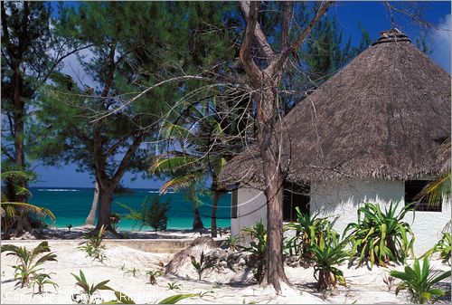 MEXICO - YUCATAN - (Playa del Carmen) - i bungalow sulla spiaggia dell'Hotel Boca Paila sulla strada tra Tulum e Punta Allen - guesthouse per sub e pescatori