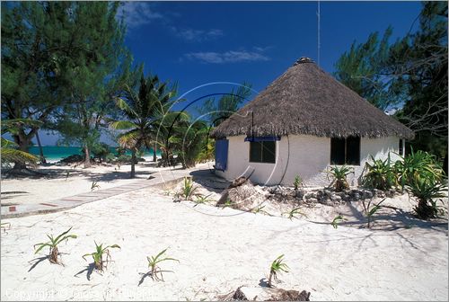 MEXICO - YUCATAN - (Playa del Carmen) - i bungalow sulla spiaggia dell'Hotel Boca Paila sulla strada tra Tulum e Punta Allen - guesthouse per sub e pescatori