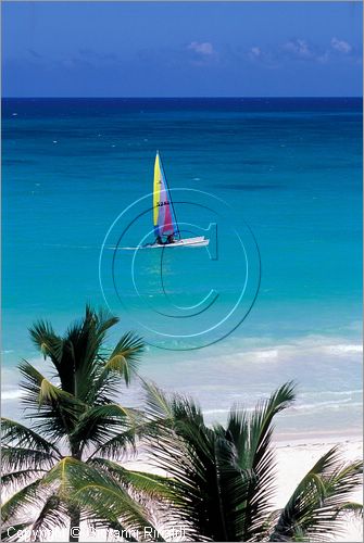 MEXICO - YUCATAN - (Playa del Carmen) - la spiaggia dell'Hotel Punta Maroma a nord della cittadina