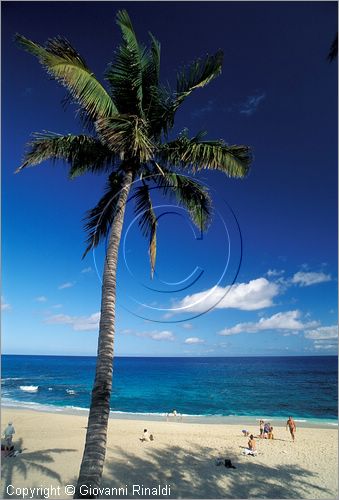 LA REUNION (Indian Ocean) - St.Gilles-Les-Bains sulla costa occidentale - la spiaggia di Boucan Canot