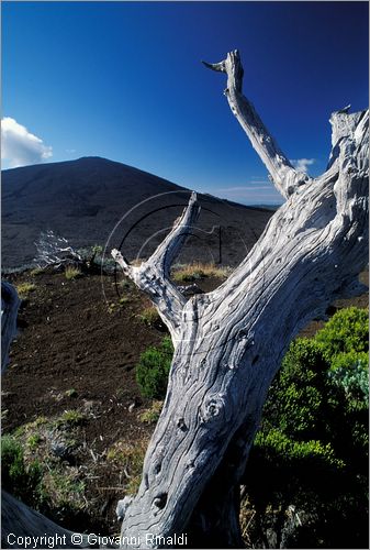 LA REUNION (Indian Ocean) - Pas de Bellecombe, veduta verso il vulcano Piton de la Fournaise (2631 mt.)