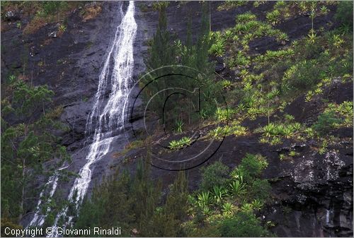 LA REUNION (Indian Ocean) - Cirque de Salazie - Cascade du Voille de la Marie