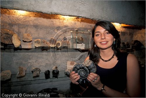 CILE - CHILE - Santiago del Cile - Pueblito Los Dominicos - Fosiles Yamil Gazales - fossili