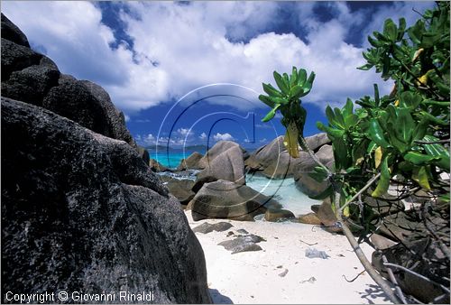 SEYCHELLES (Indian Ocean) - La Digue Island - Anse Patates