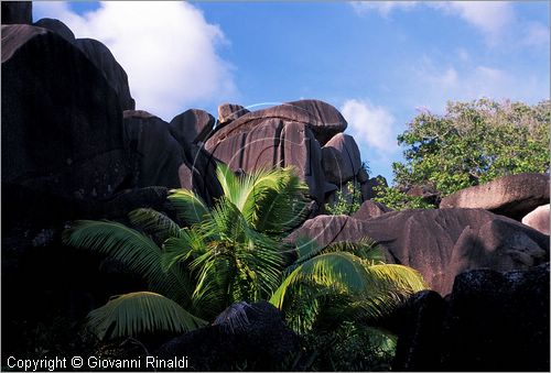 SEYCHELLES (Indian Ocean) - La Digue Island - Anse Source d'Argent