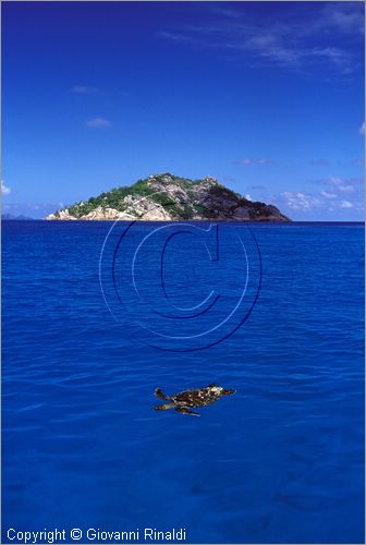 SEYCHELLES (Indian Ocean) - (La Digue Island) - Petite Soeur Island
