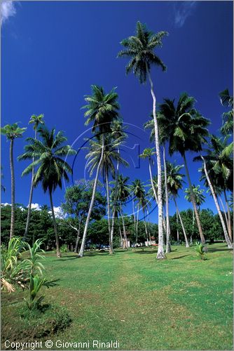 SEYCHELLES (Indian Ocean) - (La Digue Island) - Grand Soeur Island