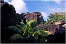 seychelles_ladigue_0025.jpg