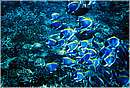 seychelles_ladigue_0044.jpg