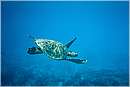 seychelles_ladigue_0046.jpg