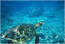 seychelles_ladigue_0048.jpg