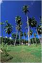 seychelles_ladigue_0052.jpg