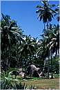 seychelles_ladigue_0053.jpg