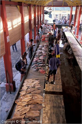 SEYCHELLES (Indian Ocean) - MAHE' ISLAND - Victoria - Mercato del pesce