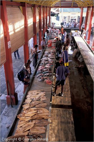 SEYCHELLES (Indian Ocean) - MAHE' ISLAND - Victoria - Mercato del pesce