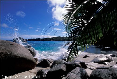 SEYCHELLES (Indian Ocean) - PRASLIN ISLAND - Anse Lazio