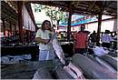 seychelles_mahe0009.jpg