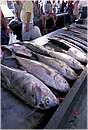 seychelles_mahe0010.jpg