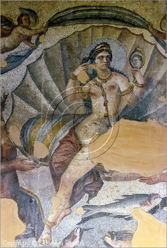 SIRIA - SUWEIDA
museo archeologico
mosaici provenienti da Shahba, nascita e toletta di Venere